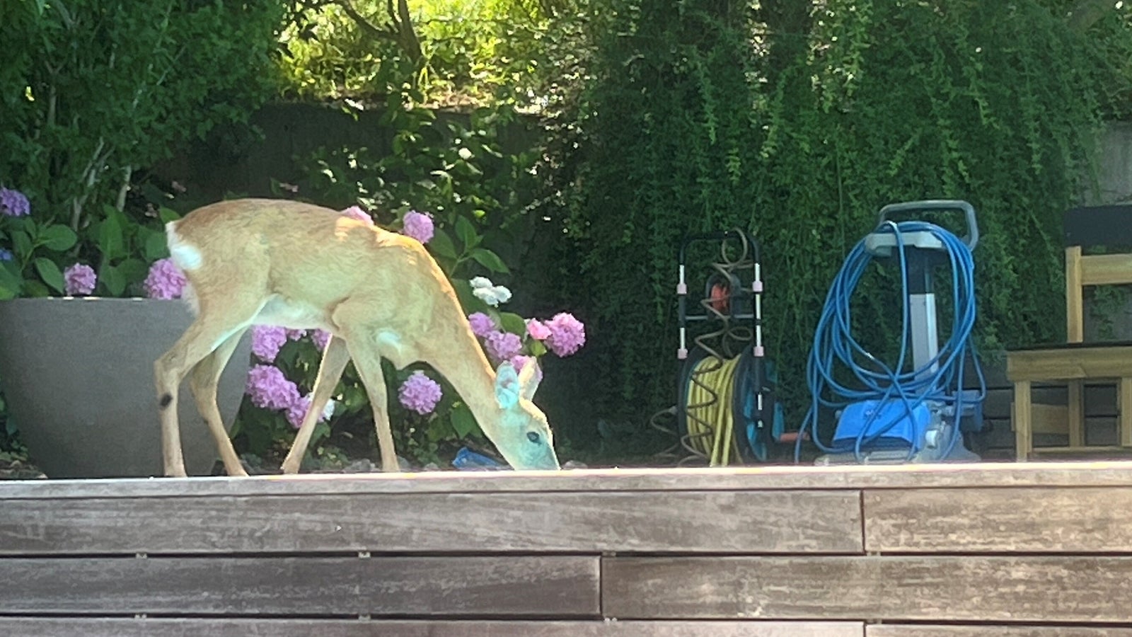 Isisxox onlyfans porn she replied and scheduled up a