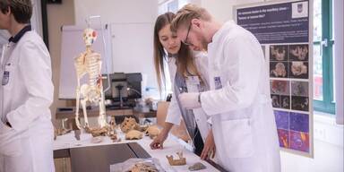 DPU in Krems vergibt kostenlose Medizin-Studienpl&auml;tze