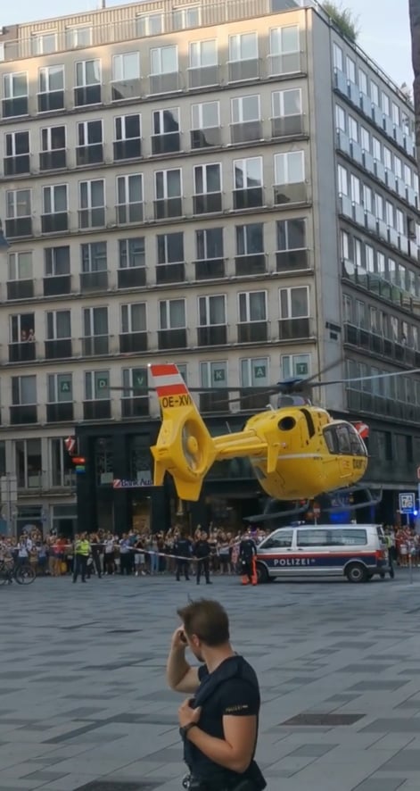 Zweijährige bei Fiakerunfall schwer verletzt