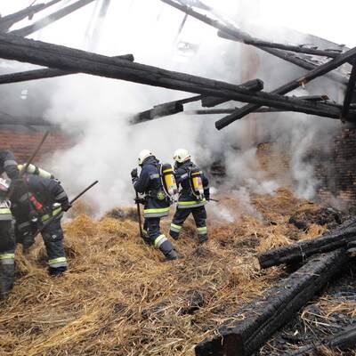 Feuerwerkskörper löste Großbrand auf oö. Bauernhof aus
