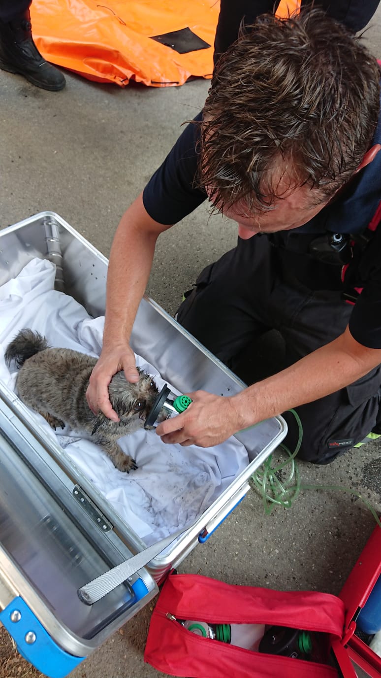 Dramatische Rettung: Frau aus Brand-Wohnung geborgen