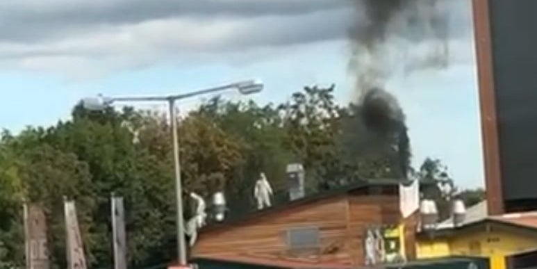 FPÖ-Abgeordneter von Aktivisten mit Torte attackiert