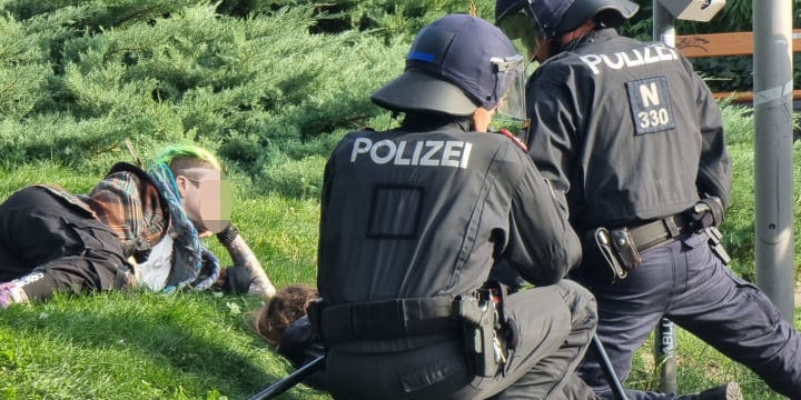 Wiener Polizei ermittelt wegen Übergriff bei Gegendemo
