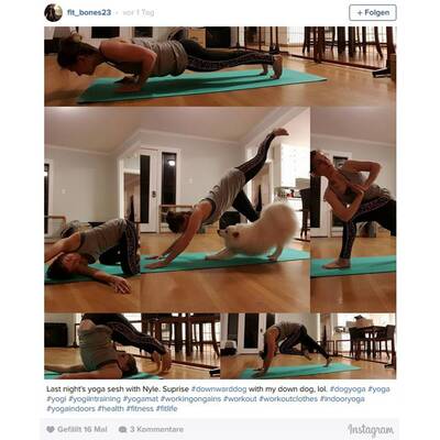 Diese Yoga-Übungen machen tierisch Spaß