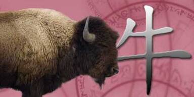 Ihr chinesisches Horoskop