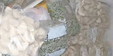 Teigtascherlfabrik Wien