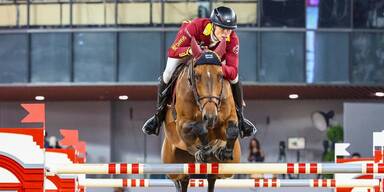Die schnellsten Pferde der Welt in Schloss Sch&ouml;nbrunn