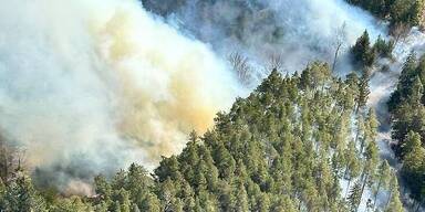 Waldbrand in Schwarzau&nbsp;