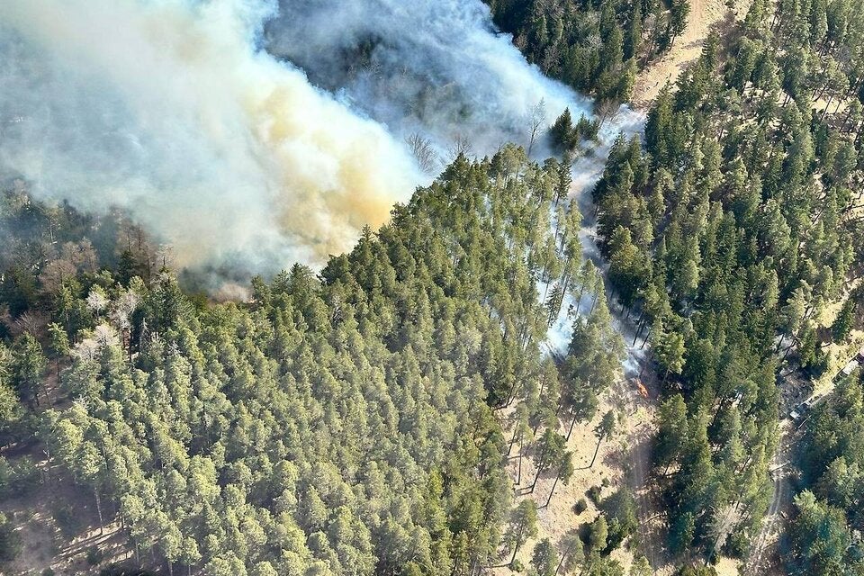 Waldbrand in Schwarzau 