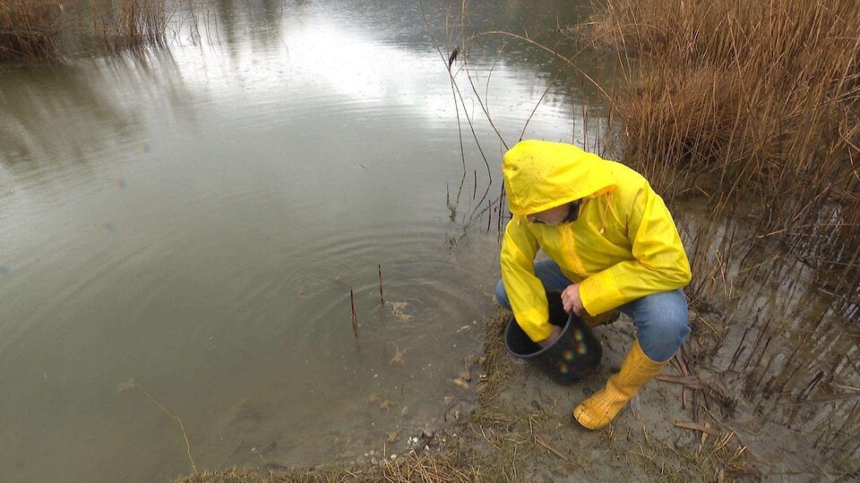 Krötenwanderung: Jeder kann helfen!