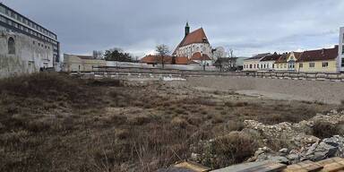 Wiener Neustadt greift nach ehemaligem Leiner-Areal