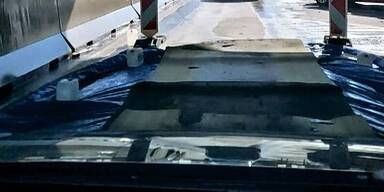 Schloss Hof und Wei&szlig;er Zoo rollen Seuchenteppiche aus