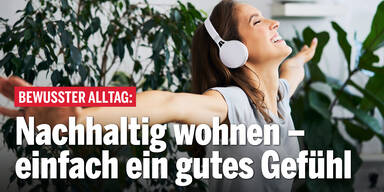 Anzeige ImmoScout 0312 oe24