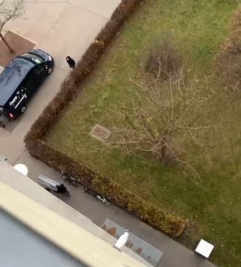 Mord-Alarm in Wien: Frau (60) tot in Kellerabteil gefunden