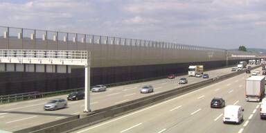 Tempo 80 bei Vösendorf als Stau-Auslöser