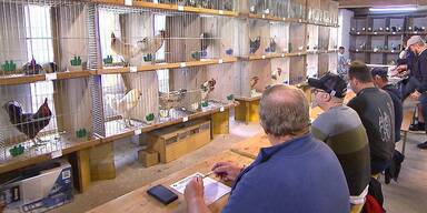 H&auml;hnewettkr&auml;hen