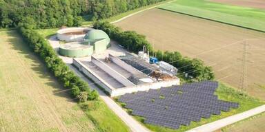 Mit Gülle zu neuer Energie