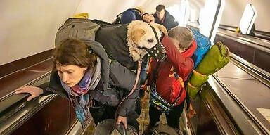 Haustiere im Krieg &ndash; &Ouml;sterreich hilft