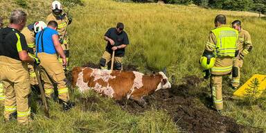 Gro&szlig;einsatz wegen Kuh Feuerwehr Ramingstein