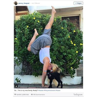 Diese Yoga-Übungen machen tierisch Spaß