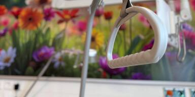 Die Zimmer sind nach bestimmten Themen gestaltet, hier das Zimmer Wiese.