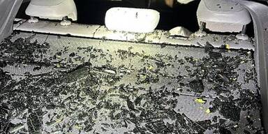 "Drive-by-Pumpkins-Shooting": Brucker K&uuml;rbisse fliegen tief