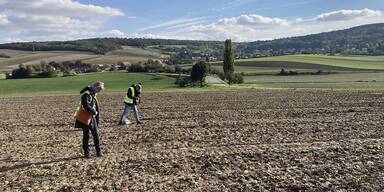 Steinzeitwaffen in Schletz von Laienforschern entdeckt
