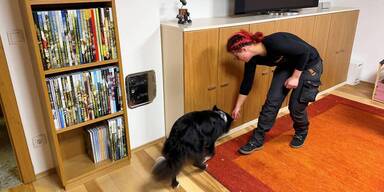 Sp&uuml;rhund im Einsatz gegen Schimmelsporen