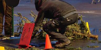 Christbaum-Weitwurf f&uuml;r guten Zweck