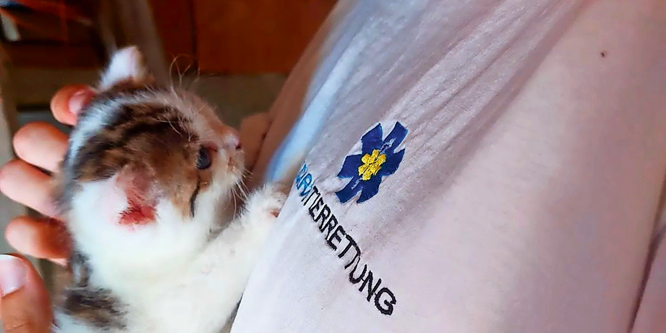 Tierhasser entsorgte kleines Katzenbaby in Mülltonne