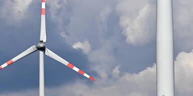 8 Windr&auml;der: B&uuml;rger von Traismauer f&uuml;rchten Verschandelung der Natur