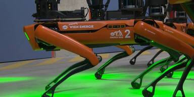 Vier neue Roboterhunde f&uuml;r die Wien Energie