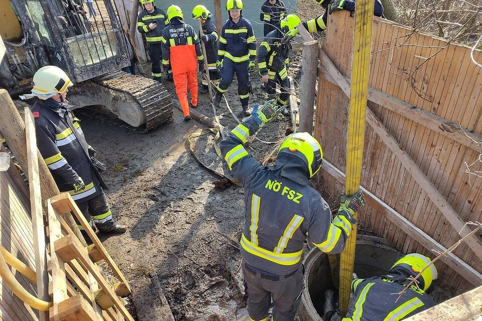 Pony aus Brunnen gerettet: unversehrt!