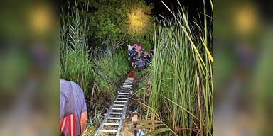 Alko-Kapitän krachte mit Boot auf Schlangeninsel