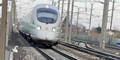 Schwan stoppte Bahnverkehr