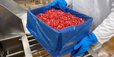 Tiefgefrorene Erdbeeren werden in Mitry-Mory zu Fruchtzubereitungen &ndash; etwa f&uuml;r Joghurts.