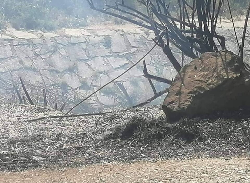 Rauchsäule sorgte für Aufregung: Flurbrand in Wien-Liesing