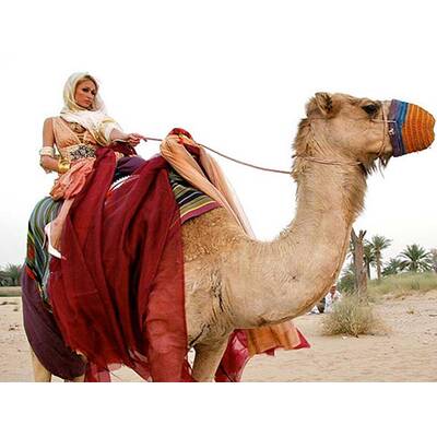 Paris Hilton: Ihre besten Twitter-Bilder