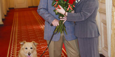 Zum Valentinstag: Die Life Ball Rose