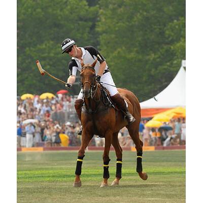 Polo-Turnier: Prinz Harry fiel vom Pferd