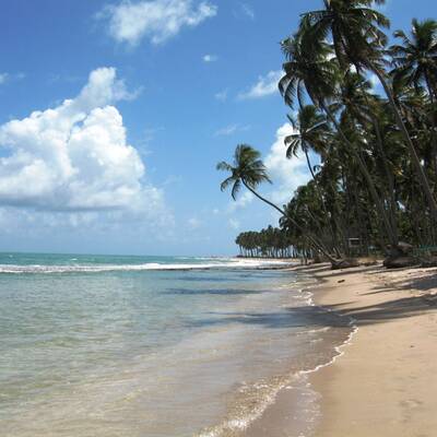 10. Praia do Rosa Beach