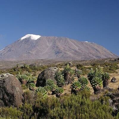 Uluru-Kata Tjuta Nationalpark im Nordterritorium/Australien