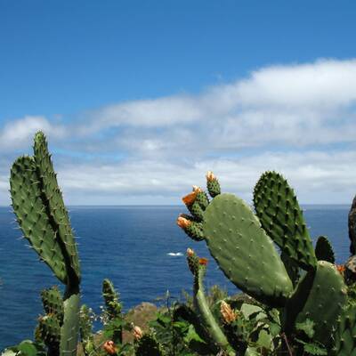 Die schönsten Inseln Europas