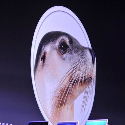 Apple zeigt iOS 7 und Co.