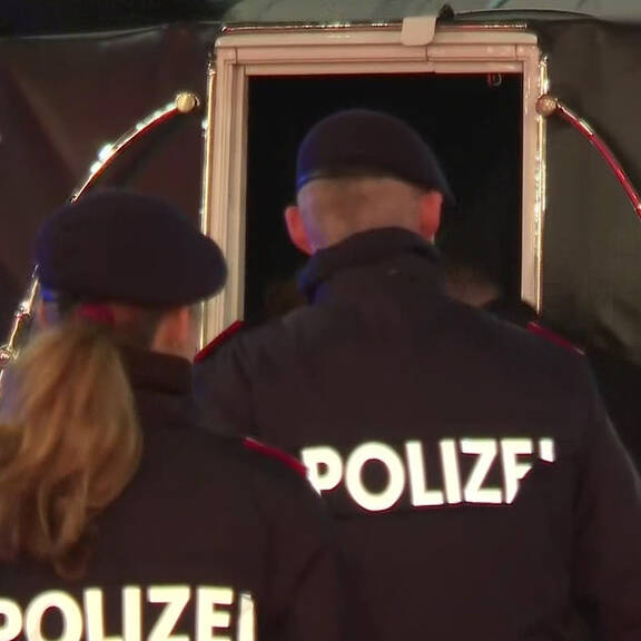 Wer ist der mysteriöse Fiaker-Gast? | Red Carpet vor dem Wiener Opernball