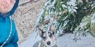 Toter Border Collie Cooper bringt Diskussion über Jagdgesetz