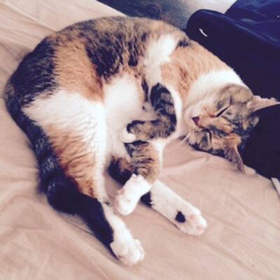 10. Platz: Nelly (7 M.), 1.891 Votes