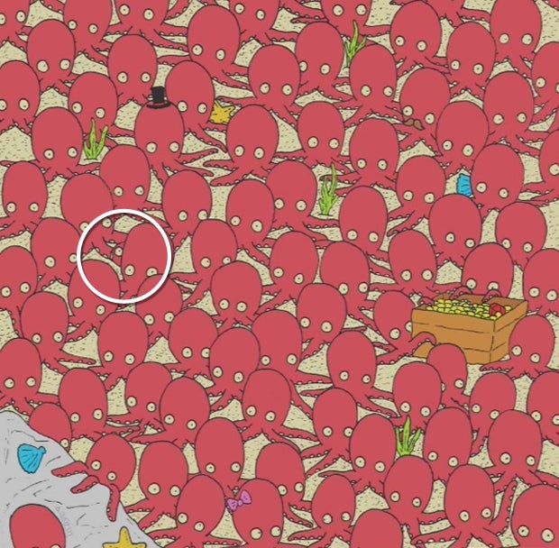 Finden Sie hier den Fisch?