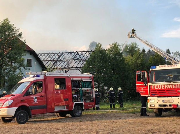 Feuer-Inferno: Zehn Kühe aus brennender Scheune gerettet