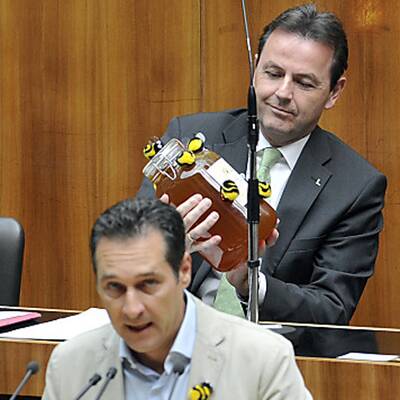 Die Bilder zur Bienen-Sitzung